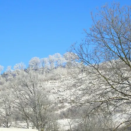 In Oberkirchen Nahe Skilift Lejlighed *