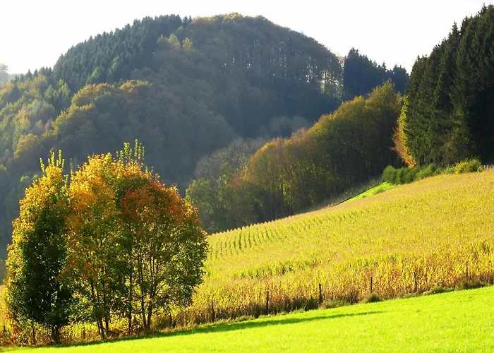 Appartement In Oberkirchen Nahe Skilift Schmallenberg