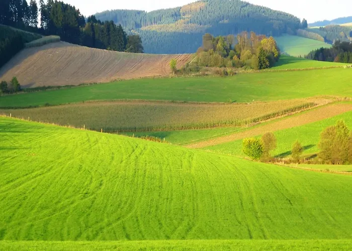 In Oberkirchen Nahe Skilift Appartement *